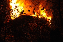 За одну ночь в Рязани сгорели два дачных дома