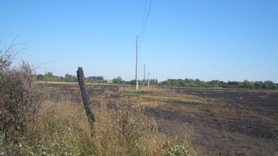 Близ Александро-Невского загоревшаяся стерня спалила опору ЛЭП