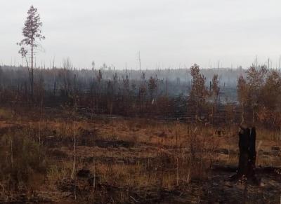 Спецслужбы пояснили ситуацию с природными пожарами в Рязанский области