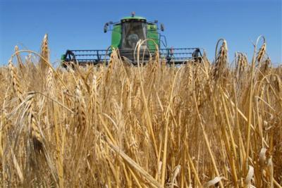 В шести районах Рязанщины закончена уборка зерновых