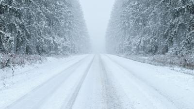 Рязанцев предупредили о снегопадах и ухудшении видимости