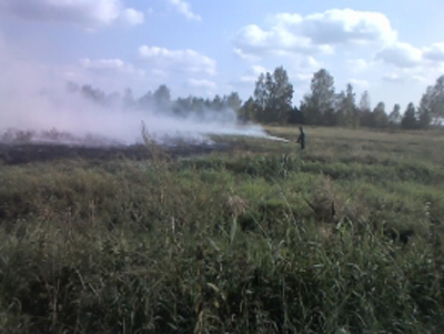 Торфяной пожар в Клепиковском районе локализовали