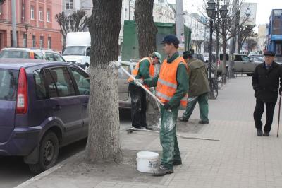 На центральных улицах Рязани установят элементы вертикального озеленения