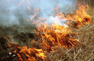 В районе Северной окружной дороги Рязани горела сухая трава