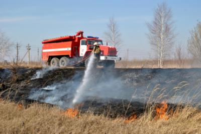 В Рязанской области оштрафовали 29 поджигателей травы