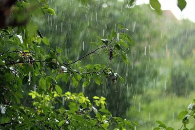 Рязанцев предупредили о кратковременных дождях