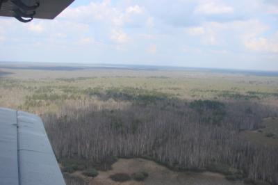 Леса Рязанской области патрулируются с воздуха 