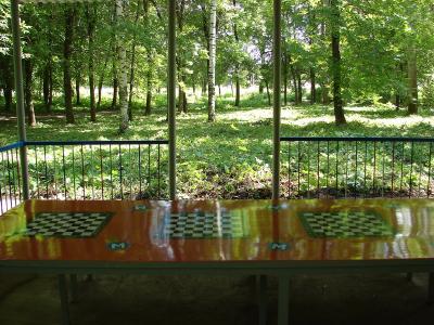 В парке имени Гагарина в Рязани открыта шахматная беседка