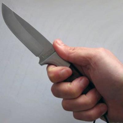Пьяный рязанец зацепил ножом продавщицу магазина в Недостоево