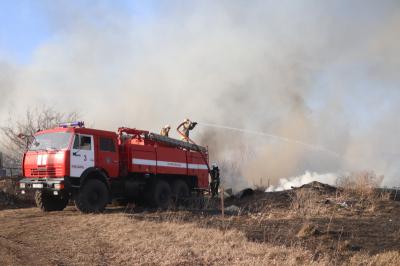 В 17 районах Рязанского региона ввели особый противопожарный режим