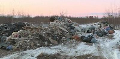 В Дубровичах растёт стихийная свалка мусора