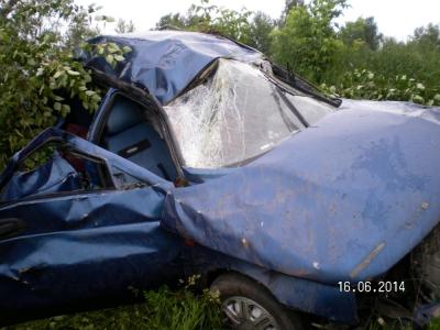 В Путятинском районе погиб пассажир автомобиля, съехавшего в кювет