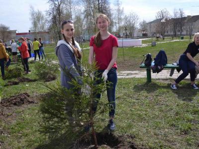 В Сапожке школьники высадили более 2000 деревьев