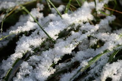 В Рязанской области может выпасть снег