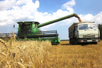Рязанские аграрии убирают зерновые