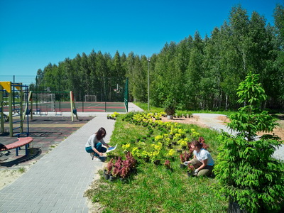 В рязанском посёлке «Новое Сёмкино» озеленят детскую и спортивную площадки