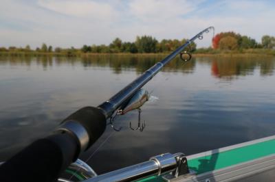 Росрыболовство предупредило рязанцев об ответственности за лов рыбы в нерест