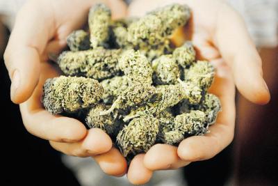 В Рязани стражи порядка изъяли более десяти килограммов марихуаны