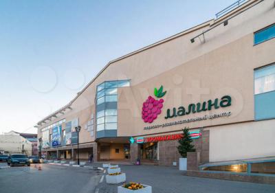 ТРЦ «Малина» в Рязани выставлен на продажу с торгов