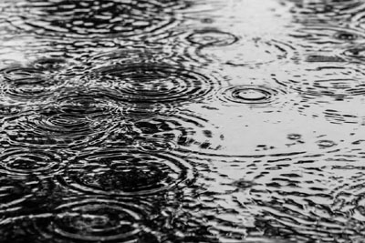 В Рязанской области ожидается умеренный дождь