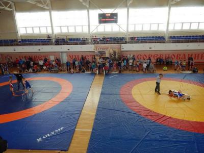 В Александро-Невском прошли два юношеских турнира по греко-римской борьбе