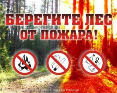 Рязанцев просят соблюдать правила пожарной безопасности в лесах