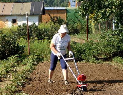 В Рязанском регионе обсудили развитие дачного садоводства