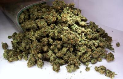 Рязанские полицейские изъяли свыше килограмма марихуаны