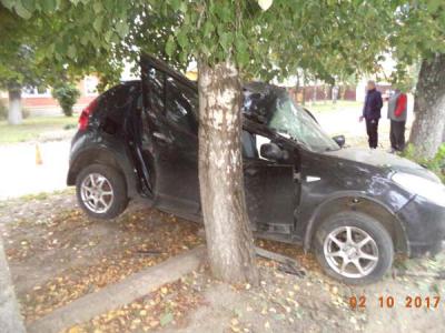 Под Рязанью Renault Sandero врезался в дерево, погибла женщина-водитель