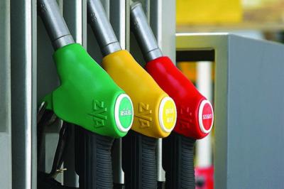 Рязанские активисты ОНФ ведут мониторинг цен на топливо в области
