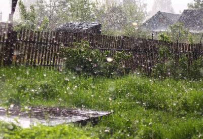 В Рязанском регионе ожидаются сильный дождь, гроза и град