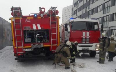 В Рязанской области за прошедшую неделю в пожарах погибло семь человек