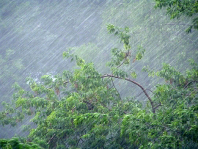 Рязанцев предупредили о грозах с дождями