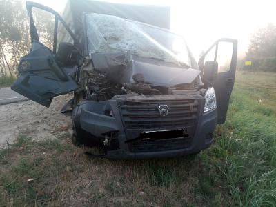 В столкновении двух «Газелей» близ Шилово пострадал один из пассажиров
