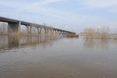 Уровень воды в Оке в черте Рязани упал на 23 сантиметра