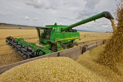 Несмотря на дожди, рязанские аграрии намолотили более 800 тысяч тонн зерна