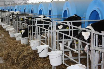 За 2014-й год производство молока в Рязанской области выросло почти на пять процентов