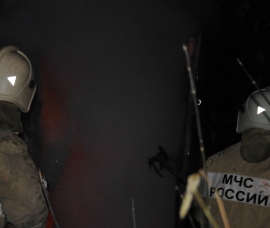 Огонь уничтожил жилой дом в Пронске