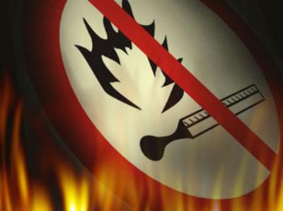 65 нарушений особого противопожарного режима пресекли рязанские полицейские