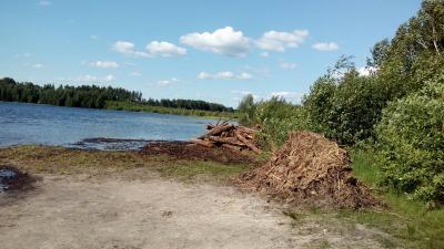 Ласковское озеро расчистят до конца июня