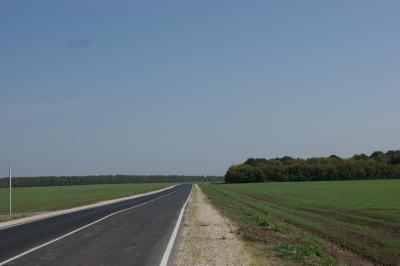 Эксперты ОНФ оценили качество разметки на дорогах в Рязани на «единицу»