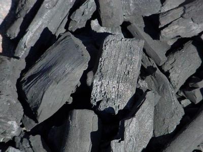 Со склада пителинского предприятия украли более 30 тонн угля