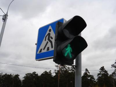В Рязани за день поймали 74 пешехода, нарушивший Правила дорожного движения