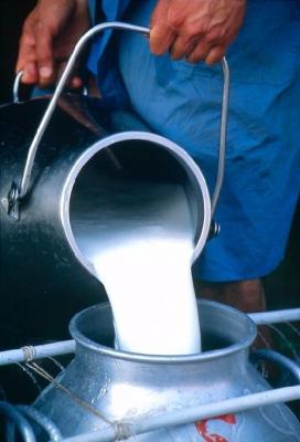 Три рязанских компании вошли в ТОП-50 производителей сырого молока