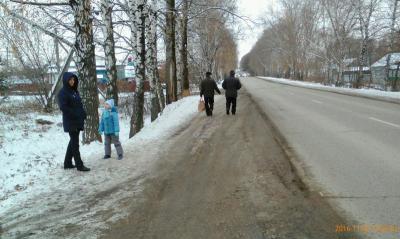 Рязанские активисты ОНФ попросили привести в безопасное состояние участок дороги в Ходынино