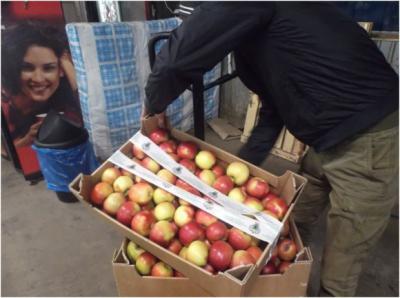 На территории «5 базы» Рязани выявлены и уничтожены санкционные помидоры и яблоки