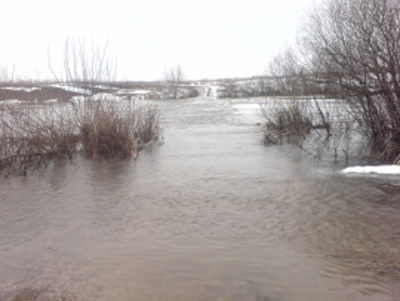 В Ряжском районе два моста скрылись под водой
