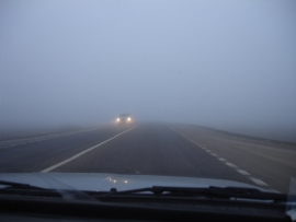Жителей Рязанской области предупредили о тумане