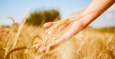 Россельхозбанк: Почти 70 рязанских фермеров начали предлагать продукты на витрине Своё Родное