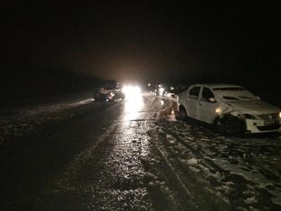 В смертельном ДТП близ Александро-Невского погибли два водителя